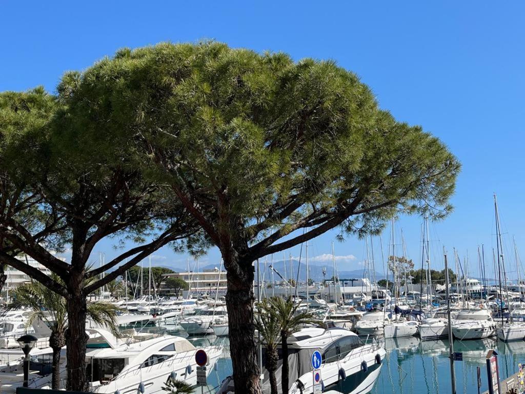 4 Pers , 100M De La Plage Marina Baie Des Anges French Riviera Villeneuve-Loubet Bagian luar foto